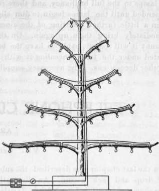Electric Lighting Of Christmas Trees 46
