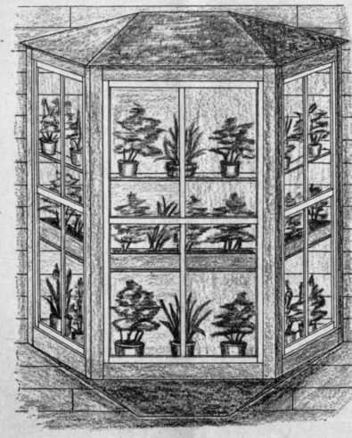 A Window Conservatory 54