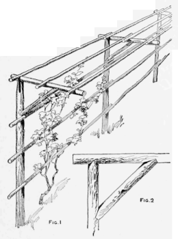 Arbor Made of Poles Which are Supported by One Row of Uprights