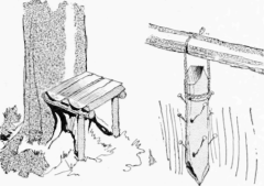 Fig.5 A Seat Against the Trunk of a Tree, and a Clothes Hanger for the Tent Ridge Pole