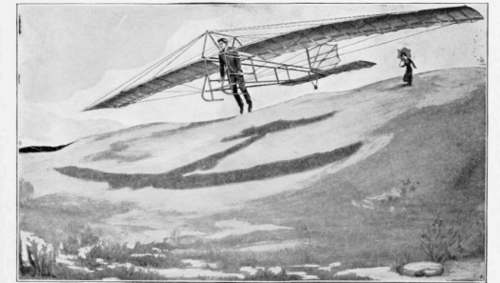Monoplane Glider in Flight
