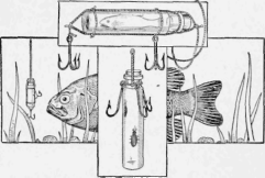 The Bait is Kept Alive and Unharmed in a Bottle Surrounded with Hooks