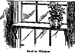 Shelf in Window