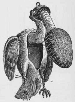 Mode Of Attaching The False Body