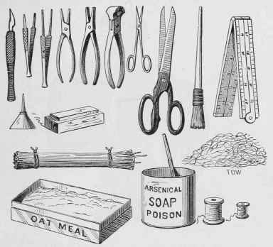Taxidermical Implements