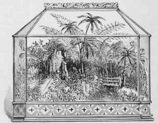 The Sydenham Case