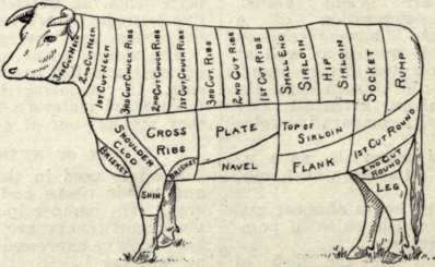 Diagram Of Cuts Of Beef.