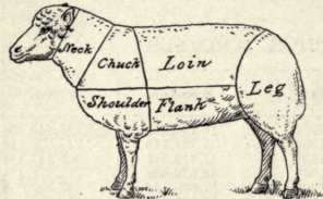 Diagram Of Cuts Of Mutton.