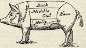 Diagram Of Cuts Of Pork.