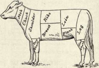 Diagram Of Cuts Of Veal.