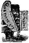 The Blake Lion And Eagle Crusher images/image37