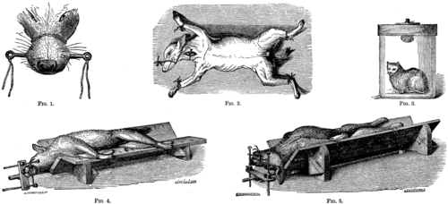 Fig. 1 5 APPARATUS USED IN VIVISECTION.
