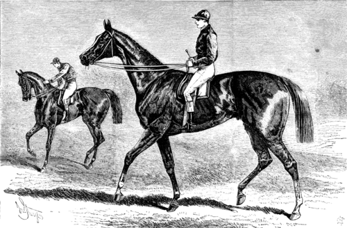ST. BLAISE, THE WINNER OF THE DERBY.