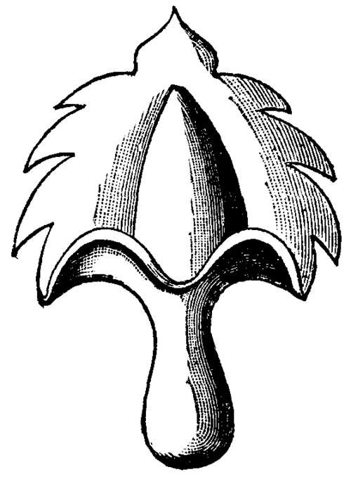 On The Evolution Of Forms Of Ornament 460 8a