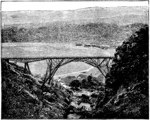BRIDGE OVER THE BLAAUW KRANTZ RAVINE, CAPE COLONY.