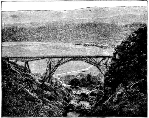 BRIDGE OVER THE BLAAUW KRANTZ RAVINE, CAPE COLONY.