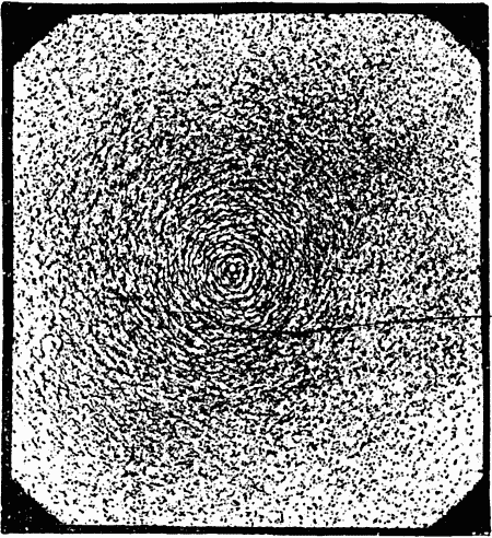 By Conrad W Cooke 488 9 fig1
