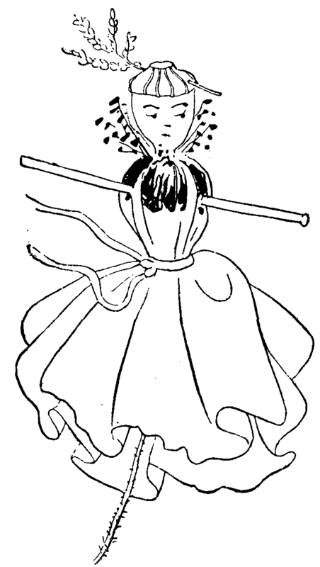 FIG. 1.   Doll made of a Wild Poppy.