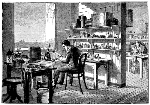 FIG. 2.   INTERIOR OF ONE OF THE STALLS FOR STUDY.
