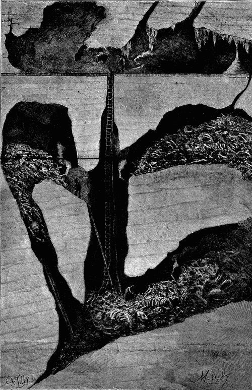 Fig. 1.   SECTION OF THE GROTTO OF GARGAS.