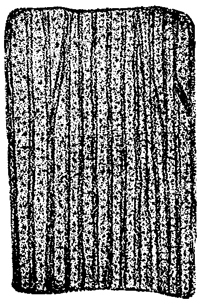 On The Origin And Structure Of Coal 481 12i