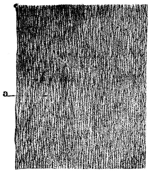 On The Origin And Structure Of Coal 481 12o