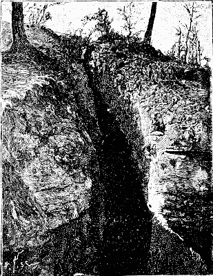FIG. 4.   FAULT THAT CAUSED THE ACCIDENT.
