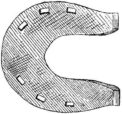 Historical Development Of The Horseshoe 819 06 fig10