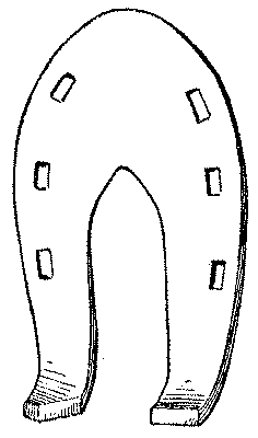 Historical Development Of The Horseshoe 819 06 fig11