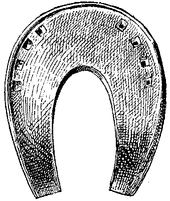 Historical Development Of The Horseshoe 819 06 fig13