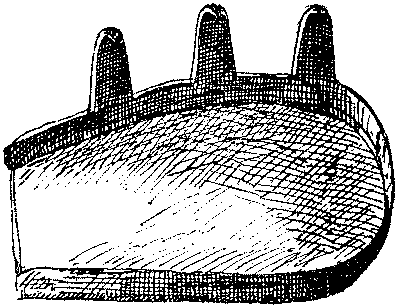 Historical Development Of The Horseshoe 819 06 fig3