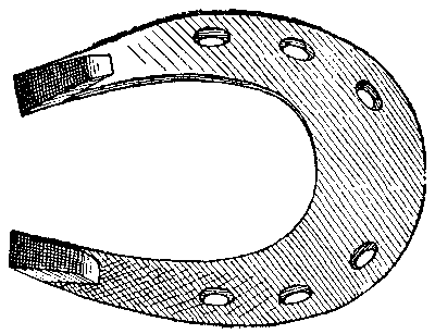 Historical Development Of The Horseshoe 819 07 fig19