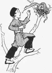 LVI The Story Of The Fate Of The King s Only Son 59