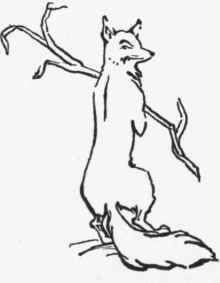 XX The Story Of The Fox s Pilgrimage To Mecca 24