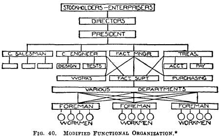 Modified functional Organization