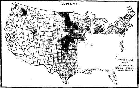 Production of wheat.