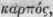 Order CXXXI Araceae Aroids Continued 1889