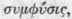 Order XC Borraginaceae Borrageworts Part 2 1312