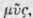Order XC Borraginaceae Borrageworts Part 3 1326