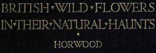 British Wild Flowers In Thier Natural Haunts