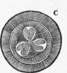 The Flowering Of The Forest Trees 27