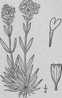 2 Viscaria Rivin Roehl Deutsch Fl Ed 2 2 37 275 142