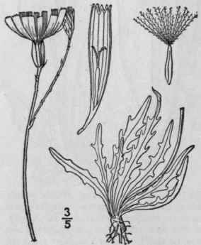 9 Apargia Scop Fl Cam Ed 2 2 113 1772 722