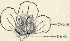 A Chapter to Study 13