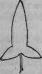 Halbert shaped leaf.