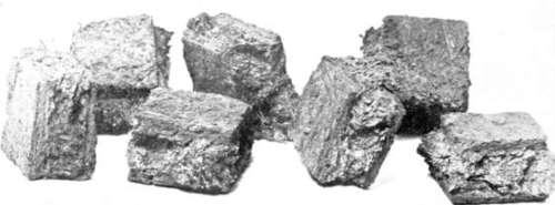 Figure 235. Pieces of brick spawn ready to plant