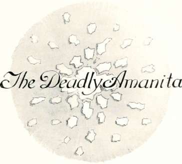 The Deadly Amanita 11
