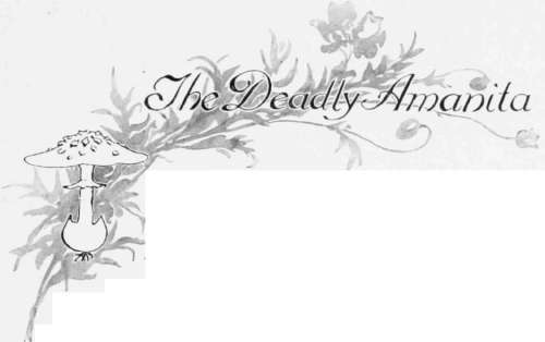 The Deadly Amanita 12