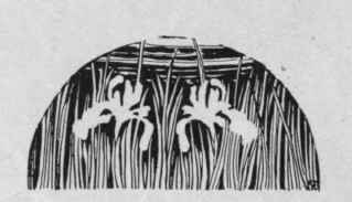 Description 17