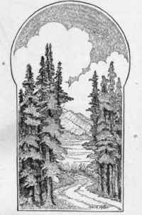 Grasses Causing Mechanical Injuries Plate V 13